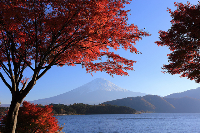 Mt Fuji